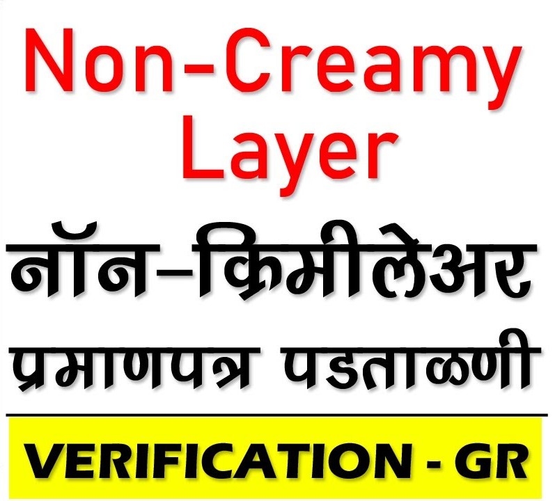 Non Criminal Certificate